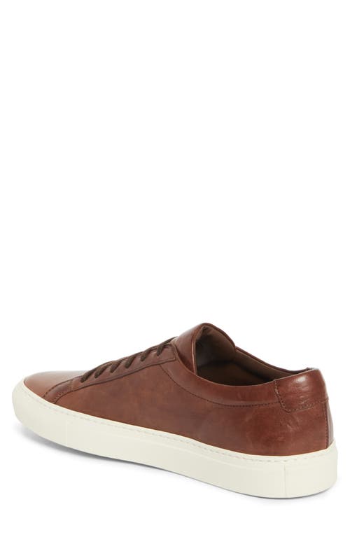 Common Projects Achilles Sneaker In Brown