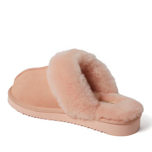 Dearfoams Fireside Sydney Genuine Shearling Scuff Slipper In Peach Dust