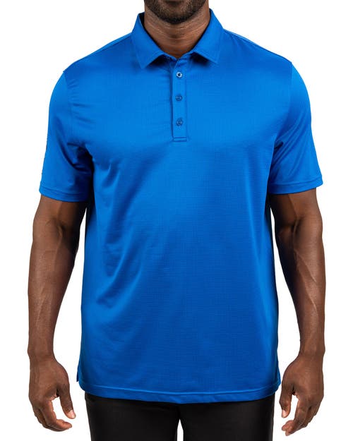 Black Clover Tubbs Polo In Blue