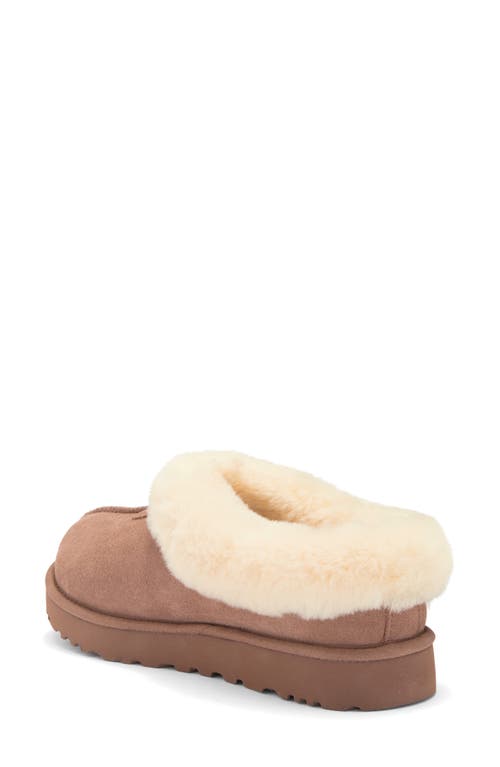 Ugg(r) Tazzette Genuine Shearling Collar Slipper