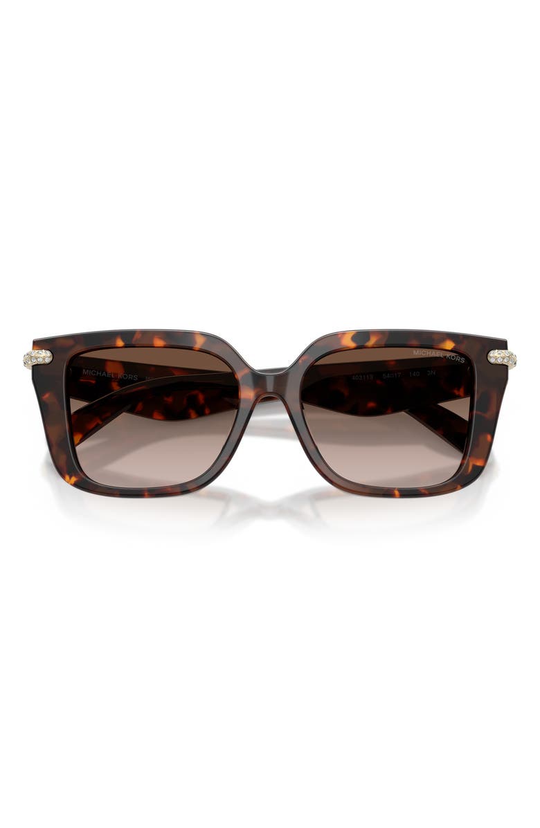 Michael Kors Santo Domingo 54mm Square Sunglasses, Alternate, color, Luggage Tortoise / Smoke