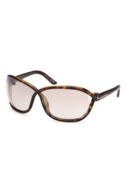 Tom Ford Fernanda 68mm Oversize Butterfly Sunglasses In Brown