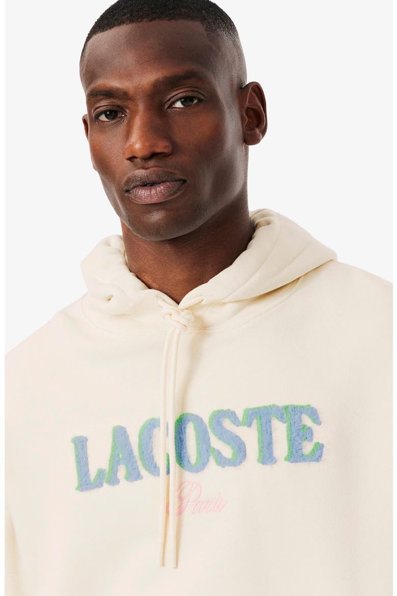 Loose Fit Fuzzy Logo Cotton French Terry Hoodie, Alternate, color, LAPLAND