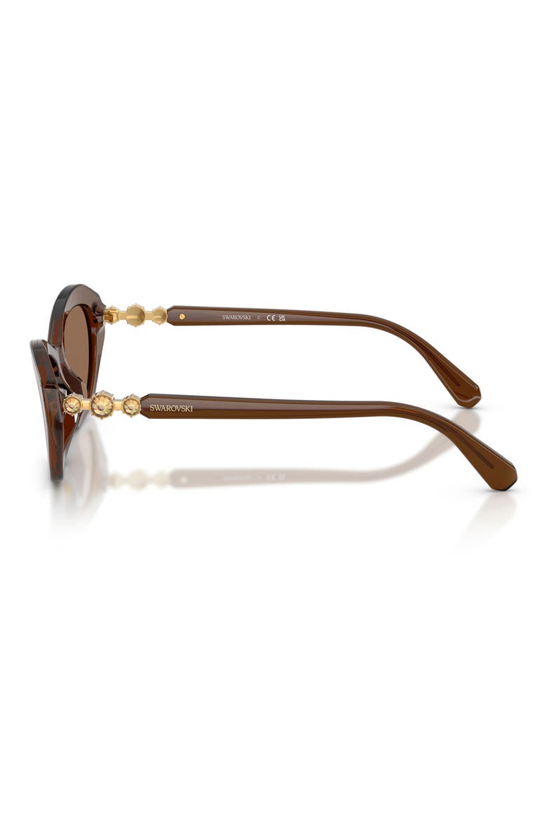 54mm Cat Eye Sunglasses, Alternate, color, TRANSPARENT BROWN / DARK BROWN