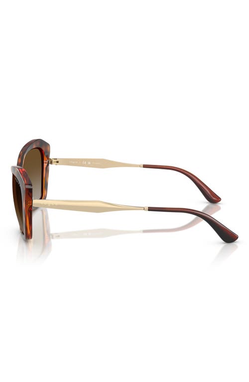 Vogue 56mm Polarized Gradient Cat Eye Sunglasses In Dark Havana