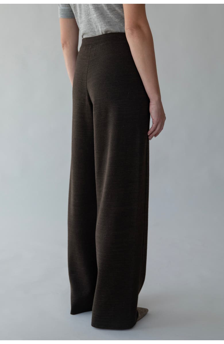 SSKEIN Laurent Trousers, Alternate, color, Cocoa