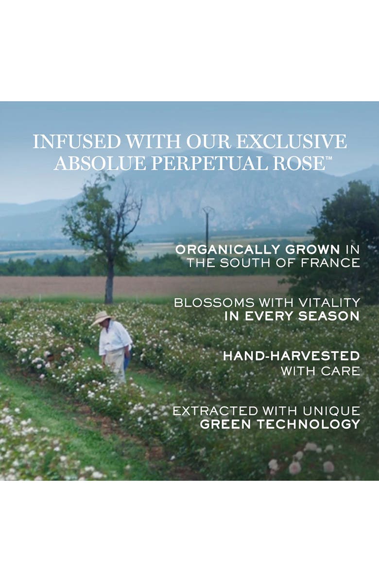 Lancôme Absolue Soft Cream & Refill Duo Set $535 Value, Alternate, color,