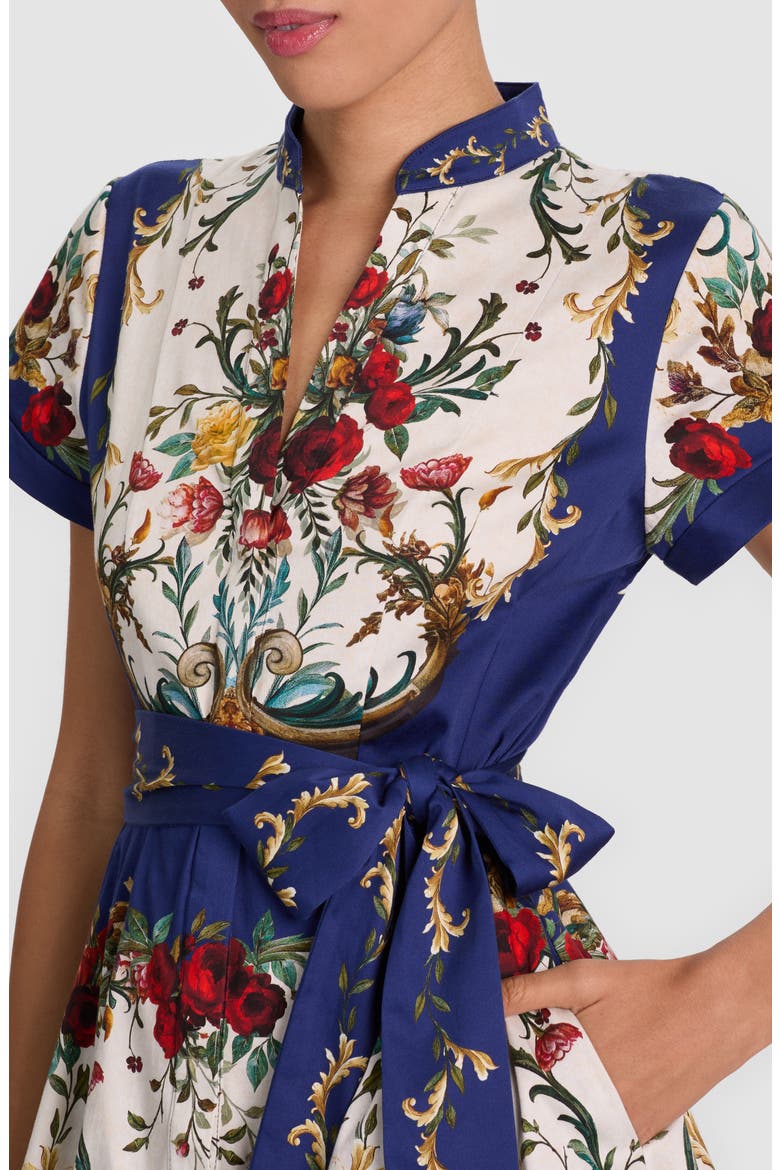 lucy shirt dress Alice + Olivia Lucy Mini Shirt Dress
