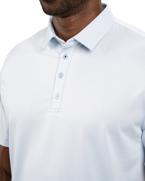 Black Clover Tubbs Polo In Blue