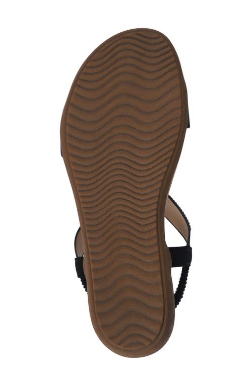 Gc Shoes Viana Ankle Strap Sandal In Black