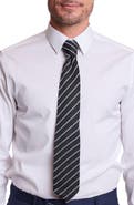 PAISLEY & GRAY Stanley Striped Knit Tie