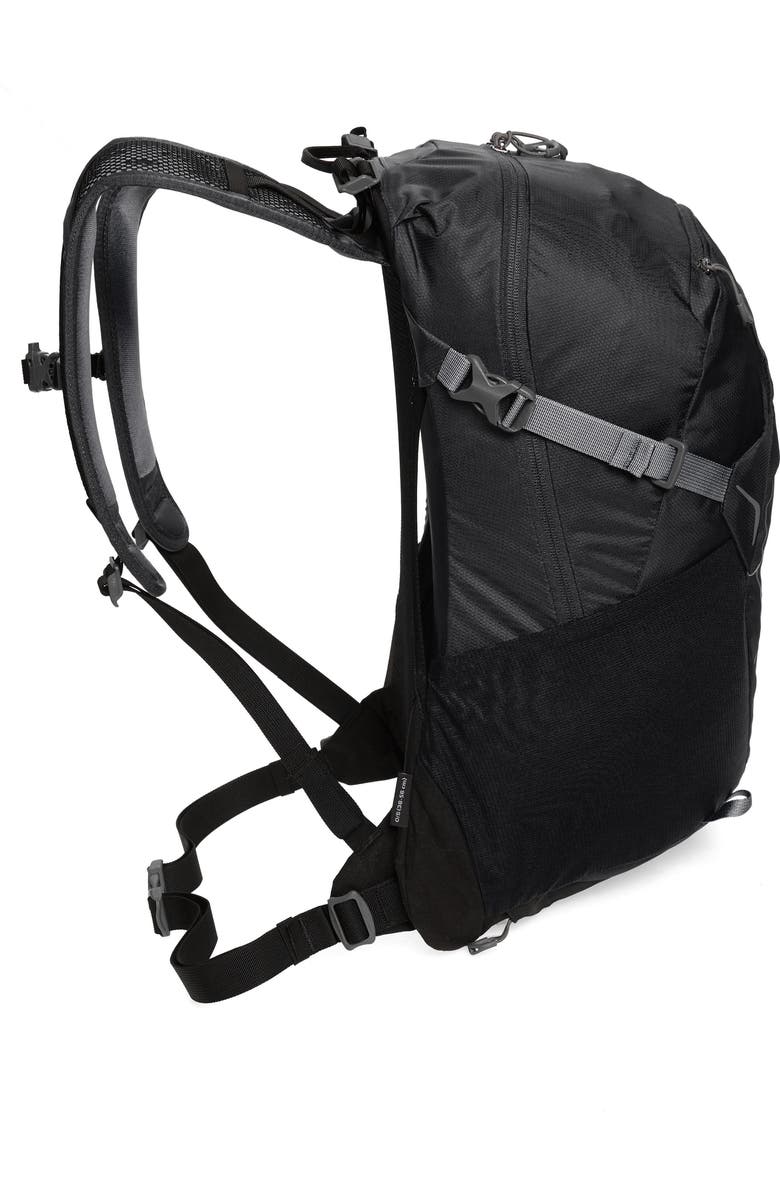 Osprey Hikelite 18L Hiking Backpack, Alternate, color,