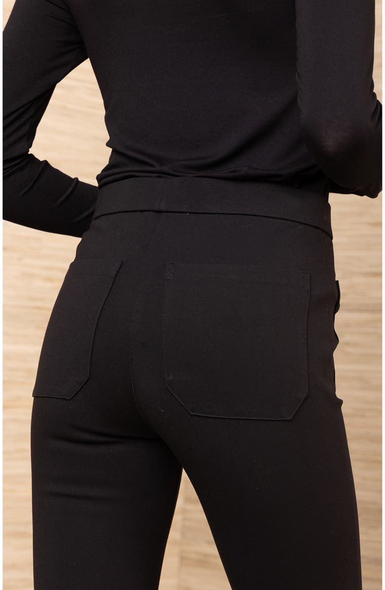 Hale Bob Mazikeen Stretch Pant, Alternate, color, Black