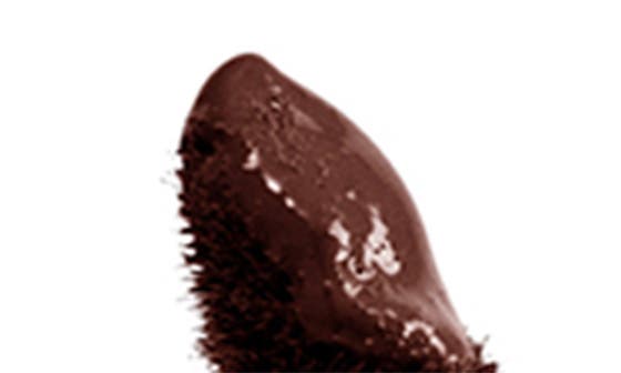 CACAO