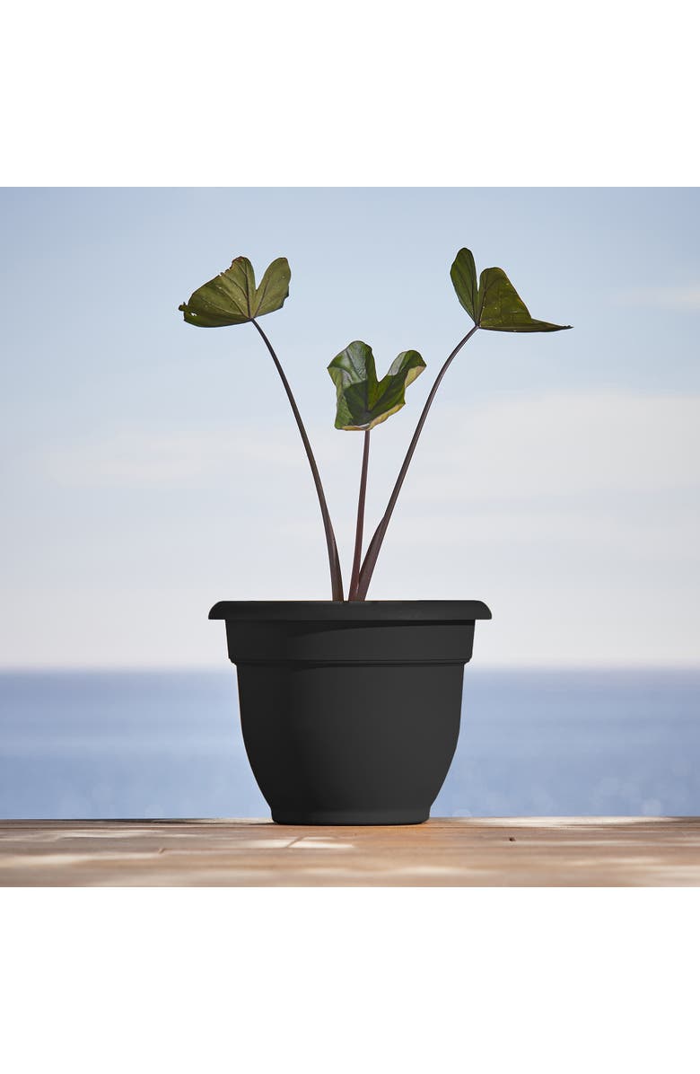 Bloem 12 Inch Ariana Pot Planter, Black, Alternate, color, Black