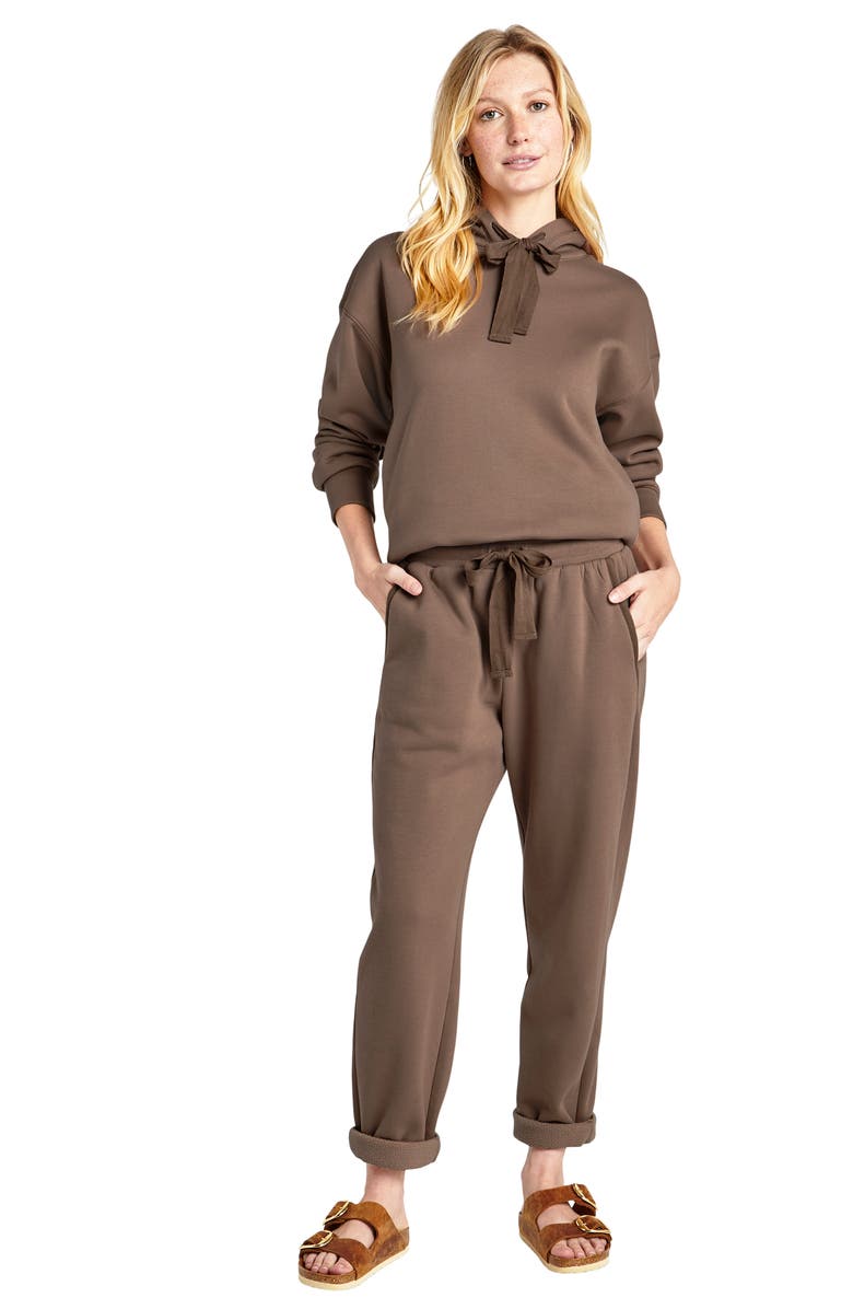 Splendid Goldie Drawstring Joggers, Alternate, color, Toffee