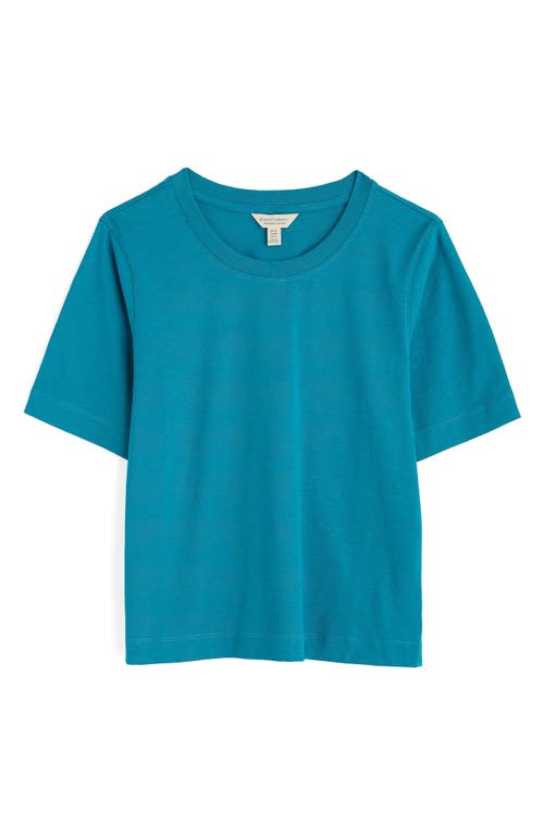 Seasalt Cornwall Copseland Organic Cotton T-shirt In Dark Briney