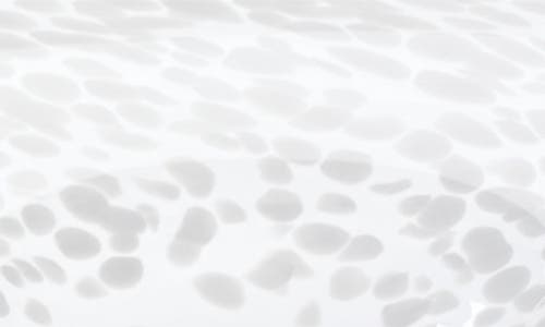 Zodax Orani Confetti Centerpiece Bowl In Transparent