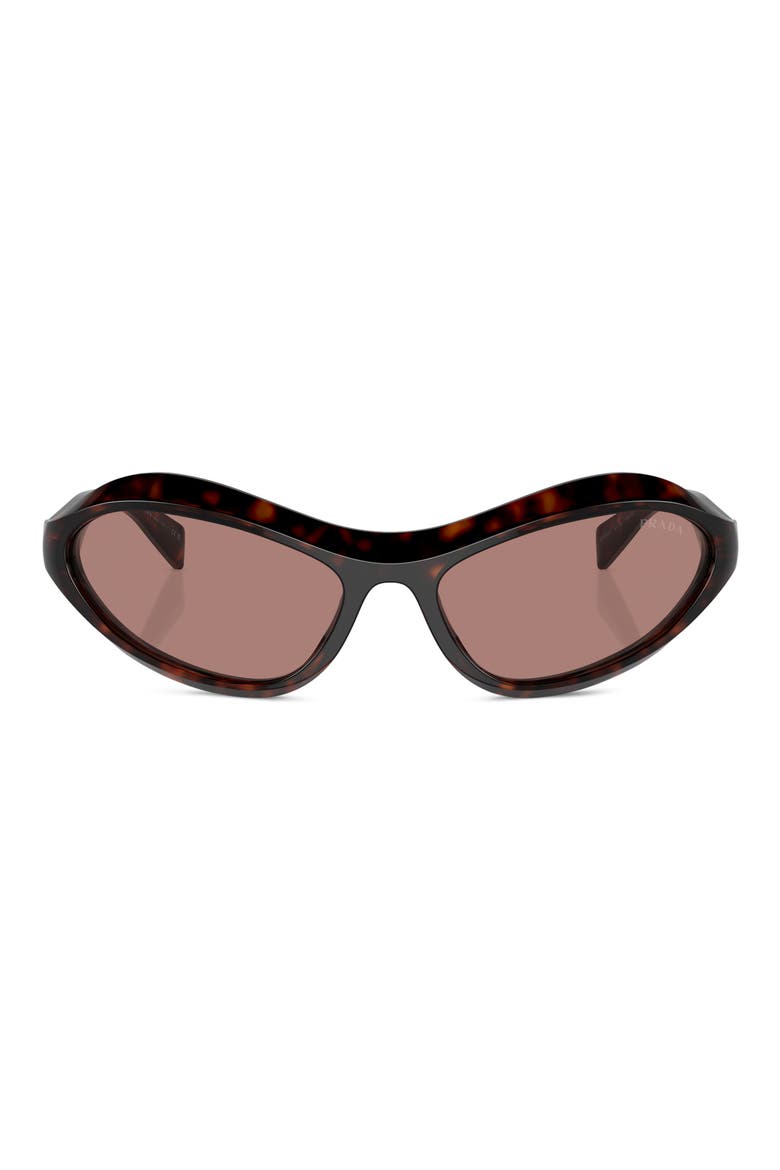 63mm Oversize Oval Sunglasses, Alternate, color, LITE BROWN