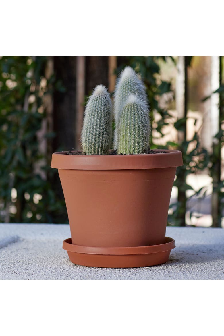 12 Inch Terra Pot Planter, Terra Cotta, Alternate, color, Brown