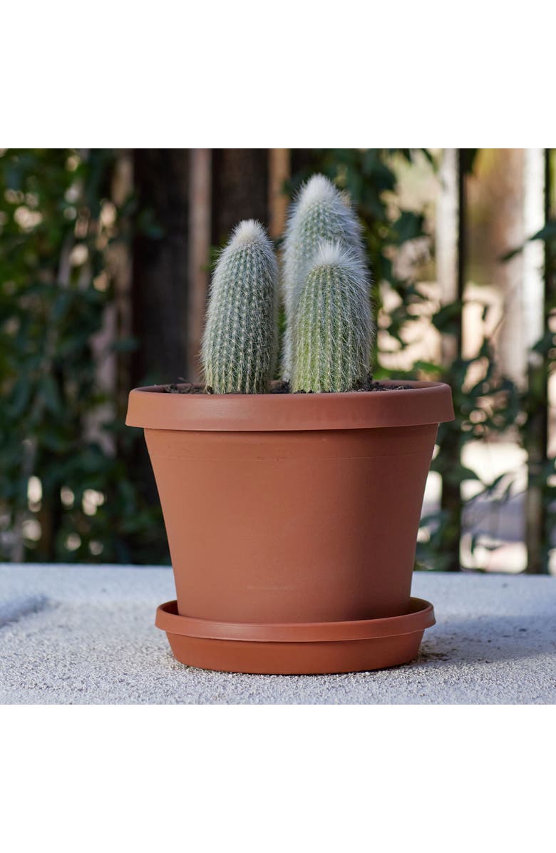 Bloem 12 Inch Terra Pot Planter, Terra Cotta, Alternate, color, Brown