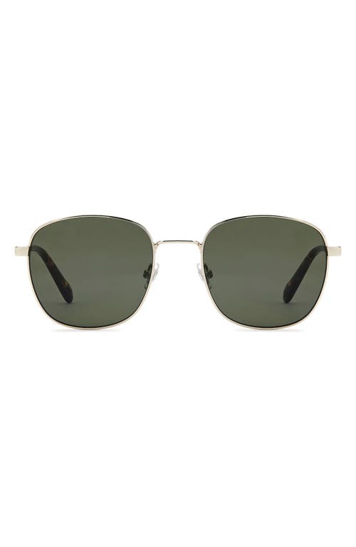 Fossil 53mm Square Sunglasses In Green