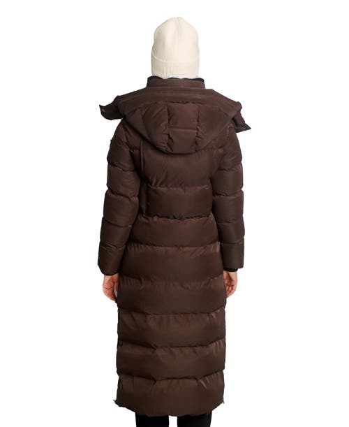 Woodpecker Bird Of Paradise Quilted Coat In Brown