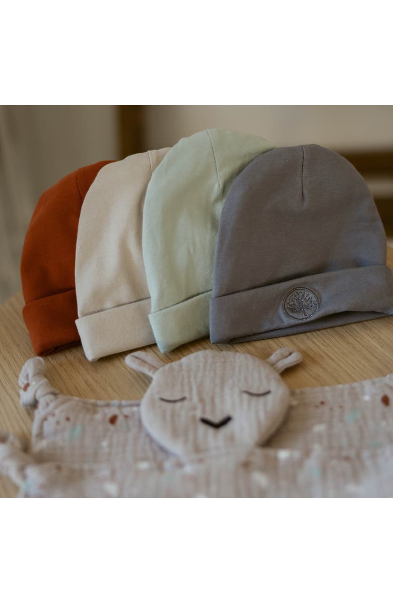 Parker Baby Co. Baby Beanies, Alternate, color, Clay/Snow