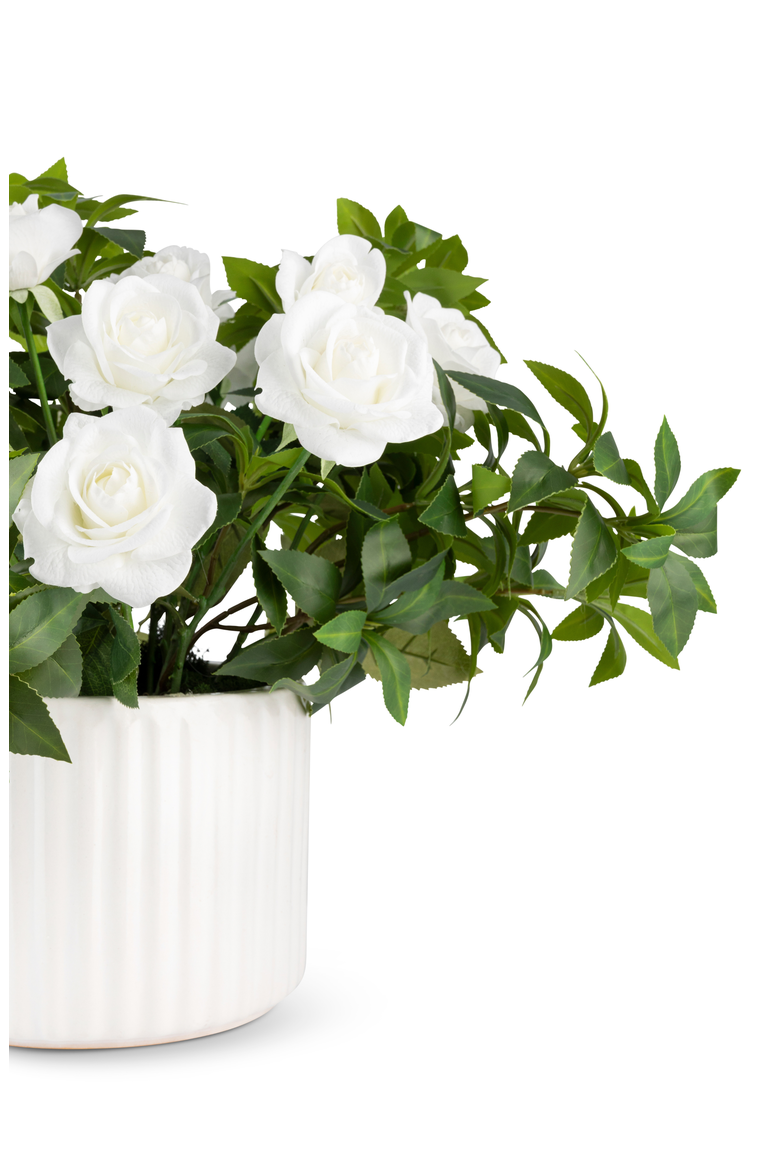 Lucienne RealTouch Rosebush Arrangement, Alternate, color, White