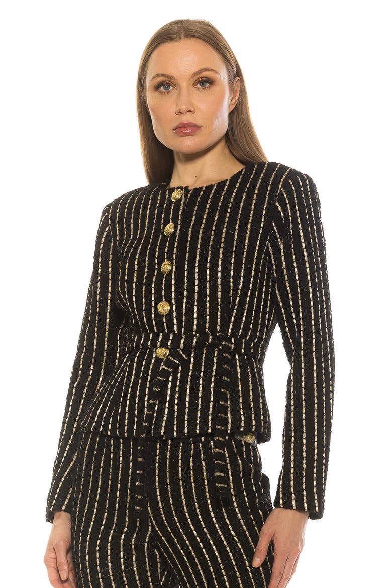 Arjun Plaid Jacket, Alternate, color, BLACK PINSTRIPE