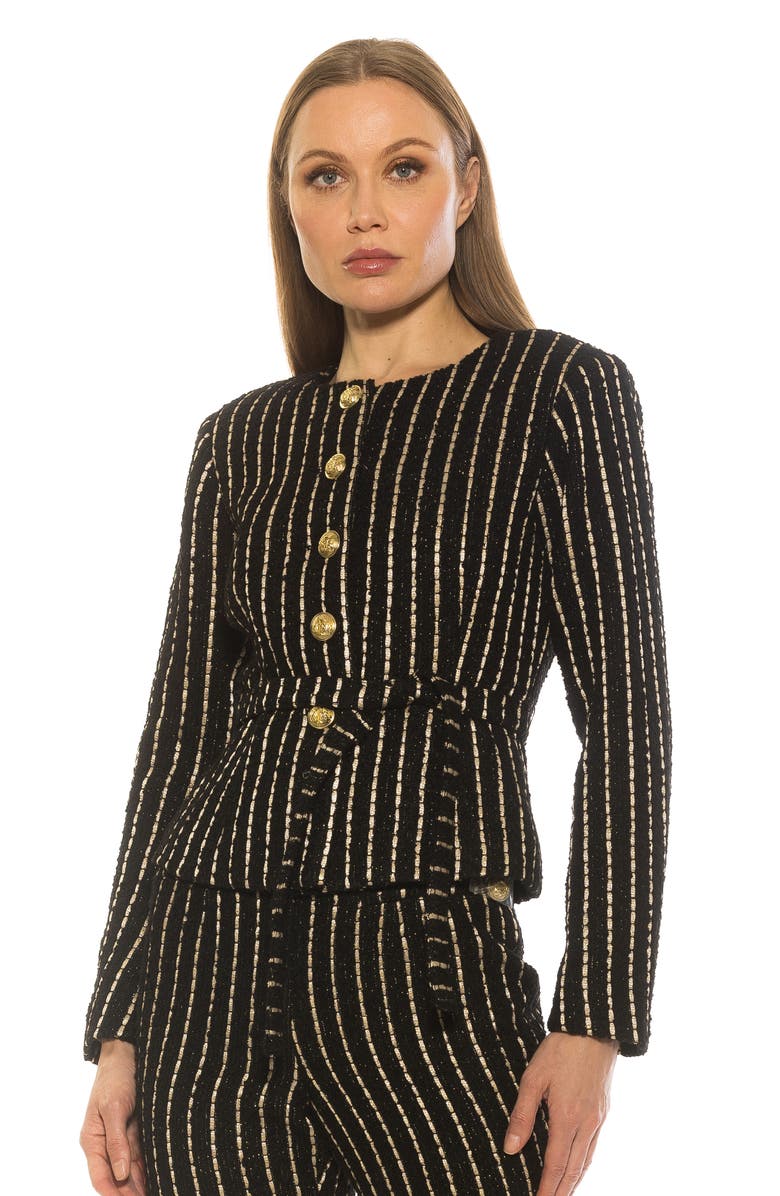 Alexia Admor Arjun Plaid Jacket, Alternate, color, Black Pinstripe