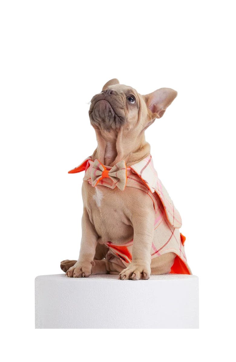 Moshiqa Tartan Dog Harness, Alternate, color, Beige