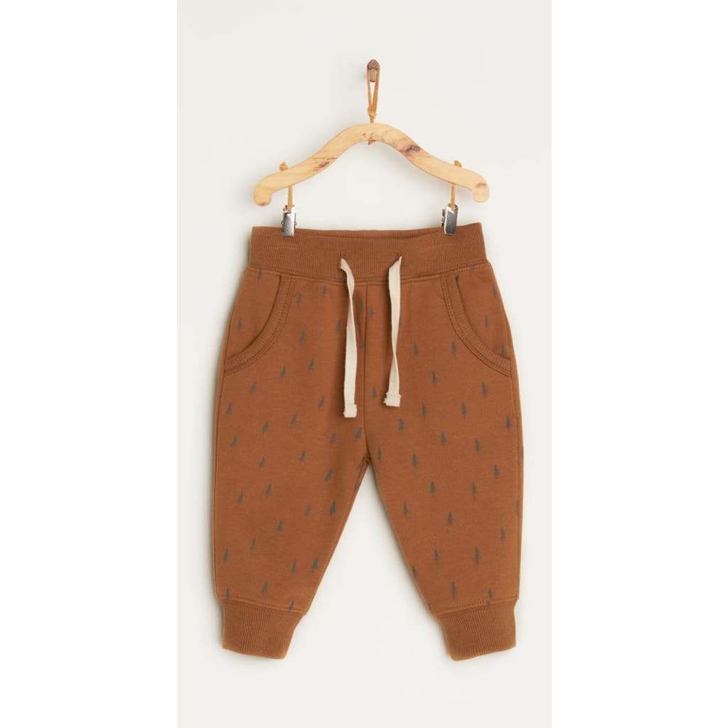 Babycottons Jogger Explorer Bb For Infant In Brown