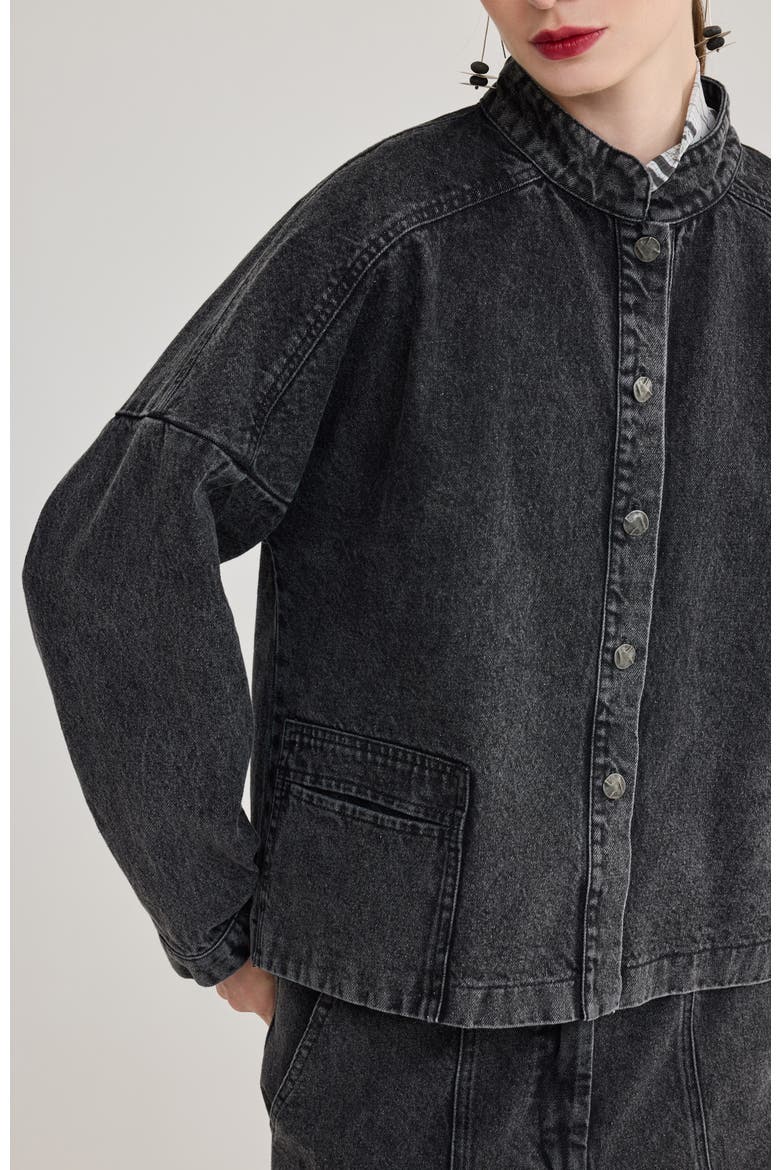 Cleo Pleated Denim Jacket, Alternate, color, Black