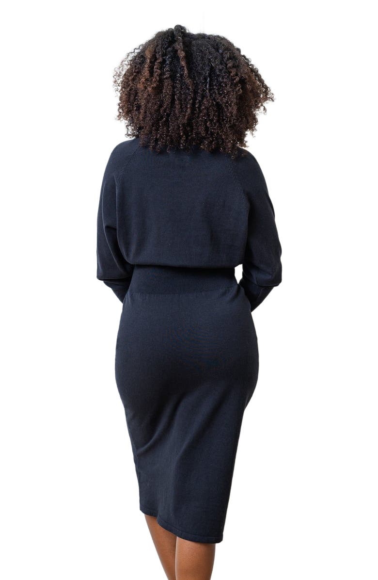 Hope & Henry Women's Dolman Sleeve Sweater Dress, Alternate, color,