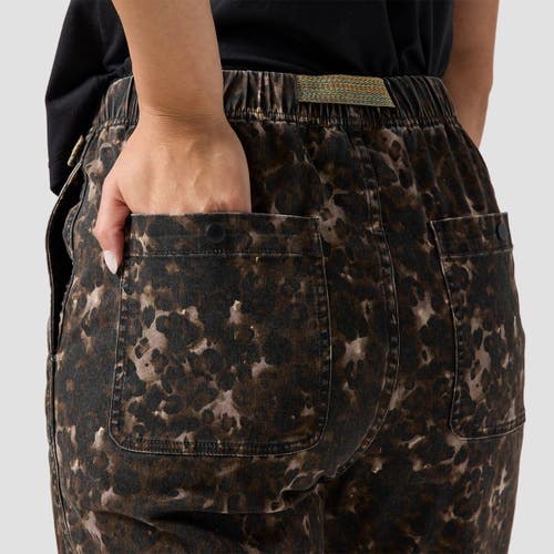 Backcountry Venture Daily Pant In Brown