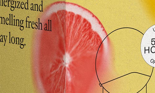 Vitruvi Forest Rain Push Plug-in Scent Refill In Zest For Life