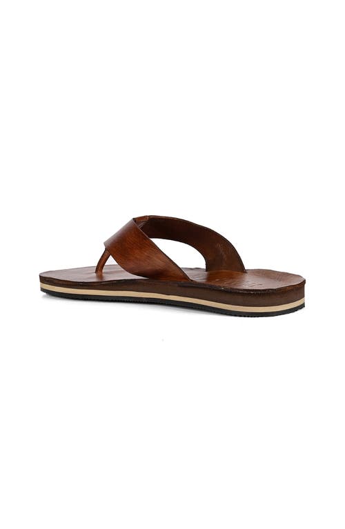 Roan Townfolk Sandal In Brown