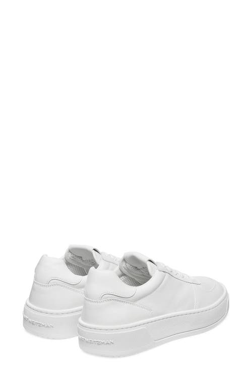 Stuart Weitzman Courtside Sneaker In White.