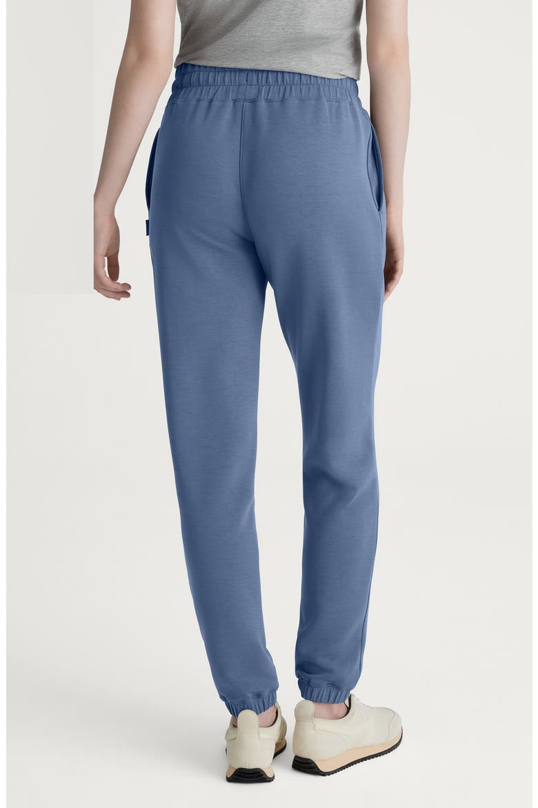 Luxe Traveler High Waist Joggers, Alternate, color, PURPLE