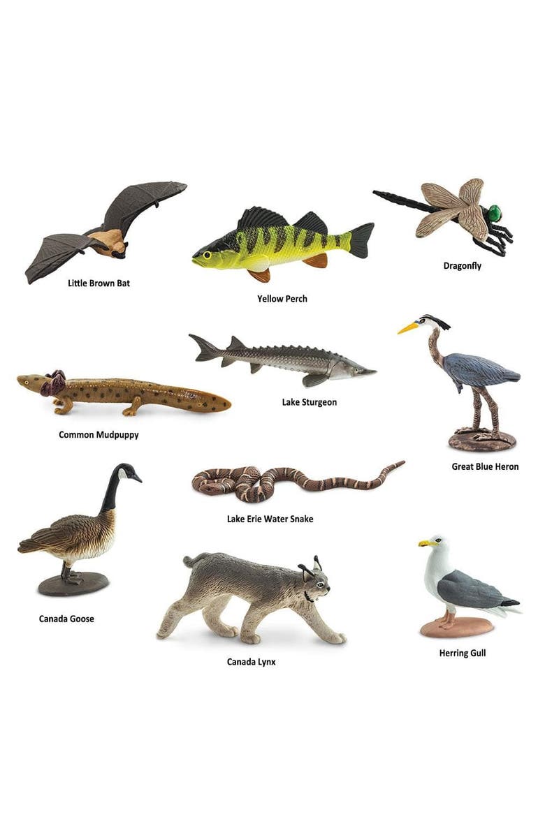 Safari Ltd. Great Lakes Toy, Alternate, color, NO COLOR