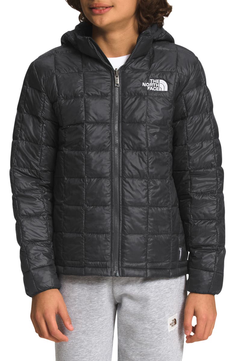 The North Face Kids' Thermoball Hooded Water Repellent Jacket, Alternate, color, 