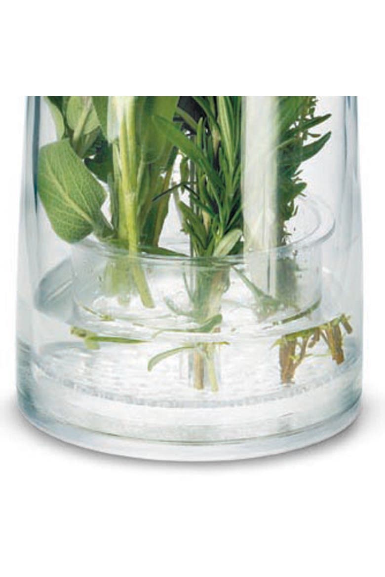 Original Herb Keeper Keeps Herbs Fresh Storage Container, Alternate, color, Green