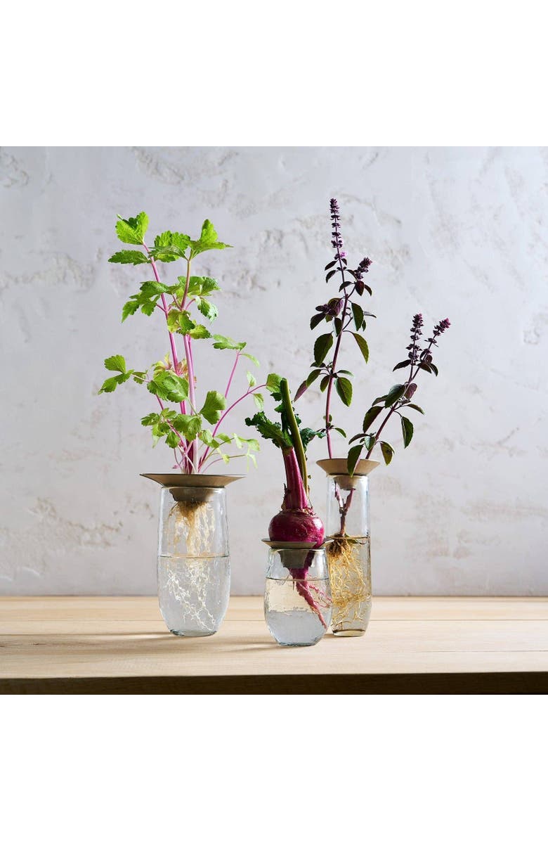 The Collective Floral Propogate Assorted - Set of 3, Main, color, Nickel