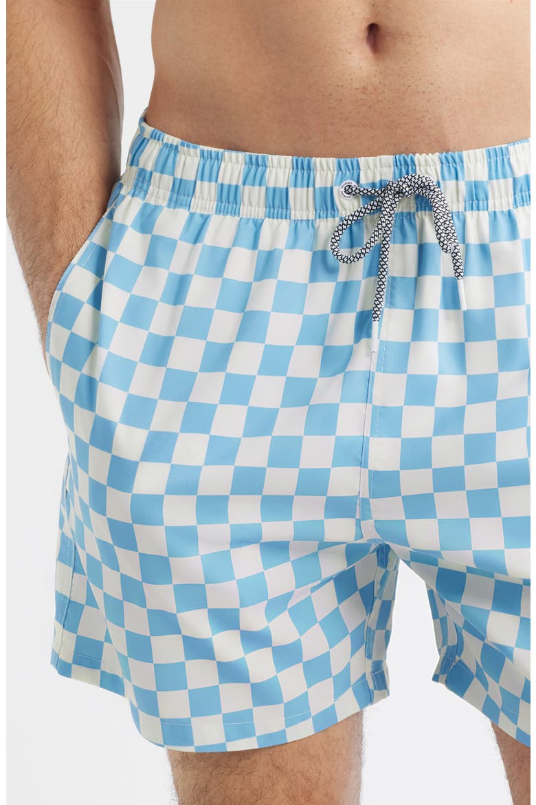 Checkerboard Print Swim Trunks, Alternate, color, BLUE/ CREAM
