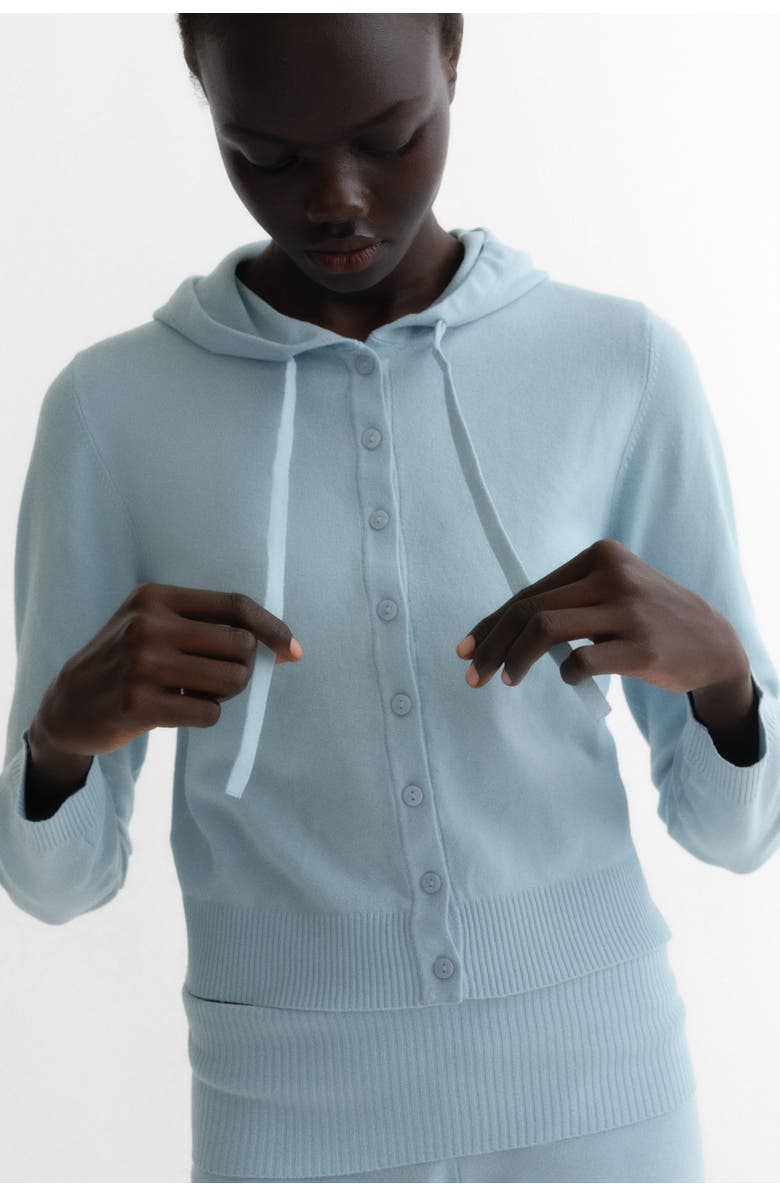 H&M Hooded Cardigan, Alternate, color, Light Blue