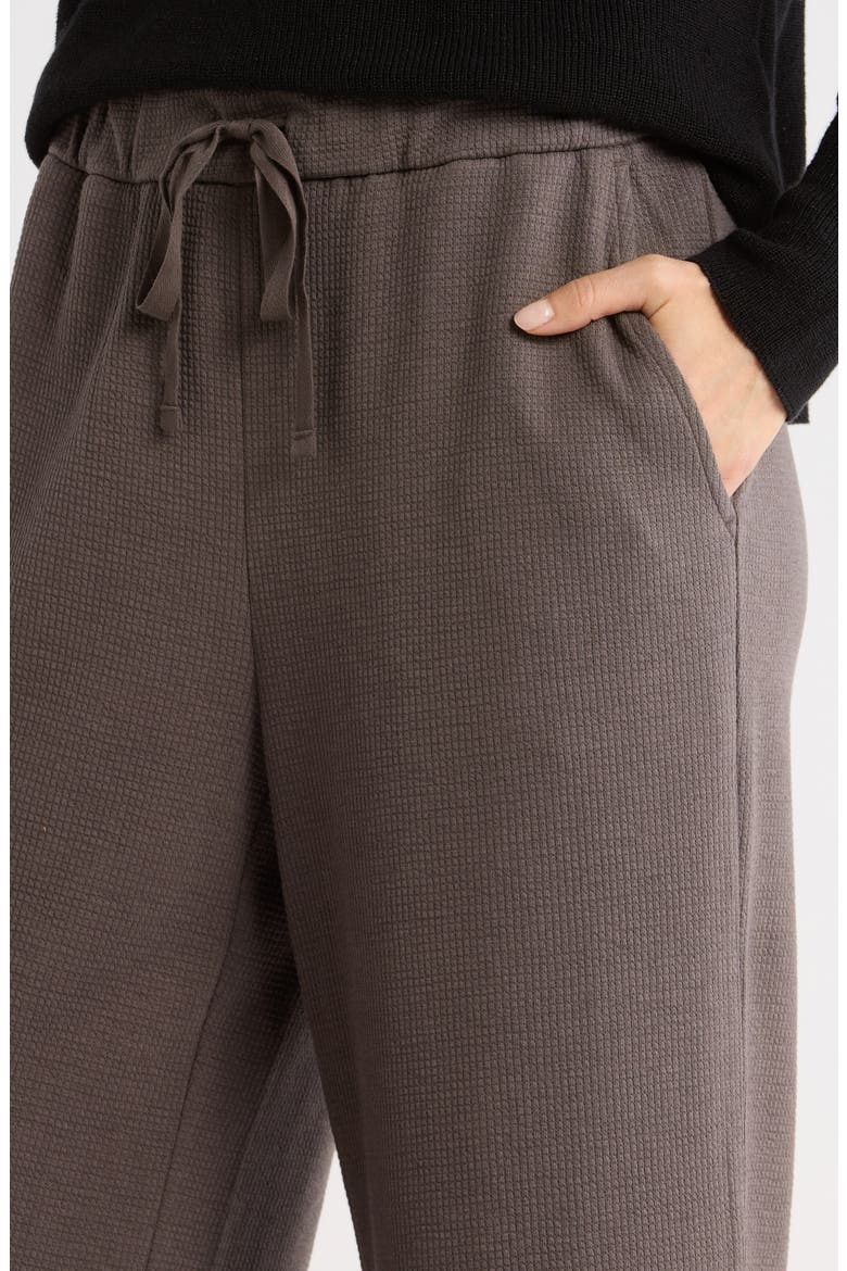 Organic Cotton Blend Ankle Wide Leg Drawstring Pants, Alternate, color, RYE