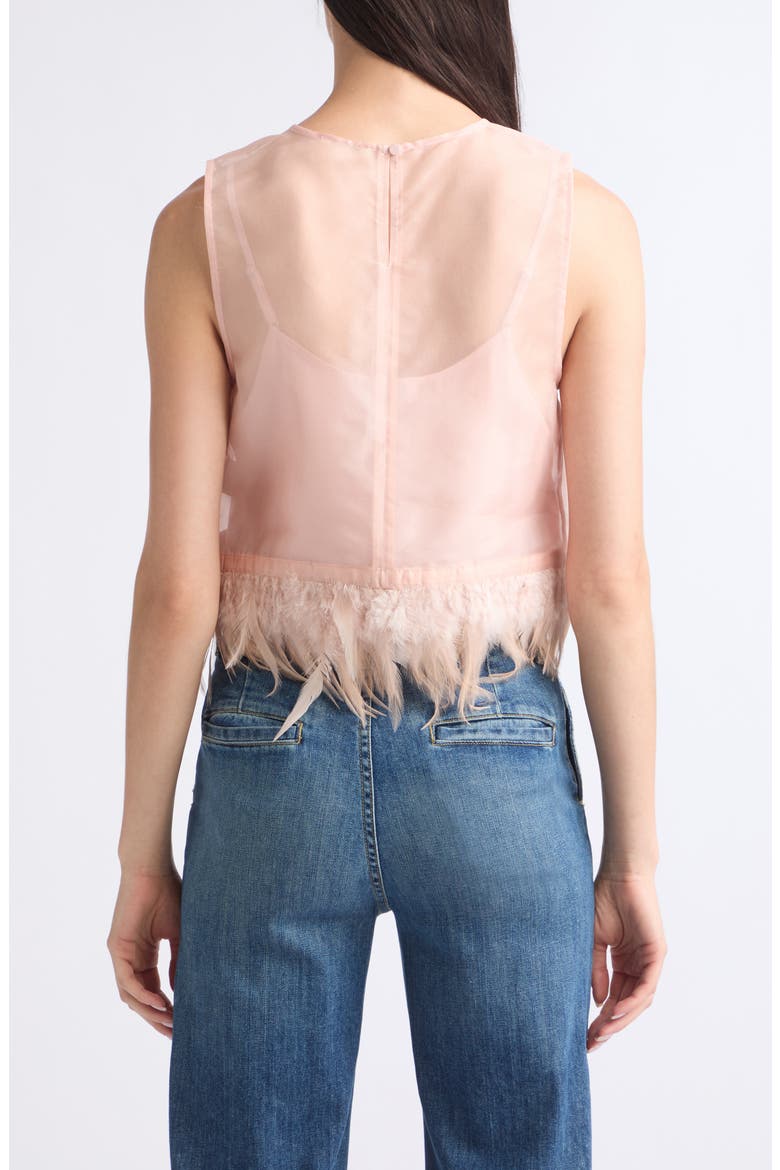 Avi Sleeveless Feather Trim Silk Top, Alternate, color, SANDROSE
