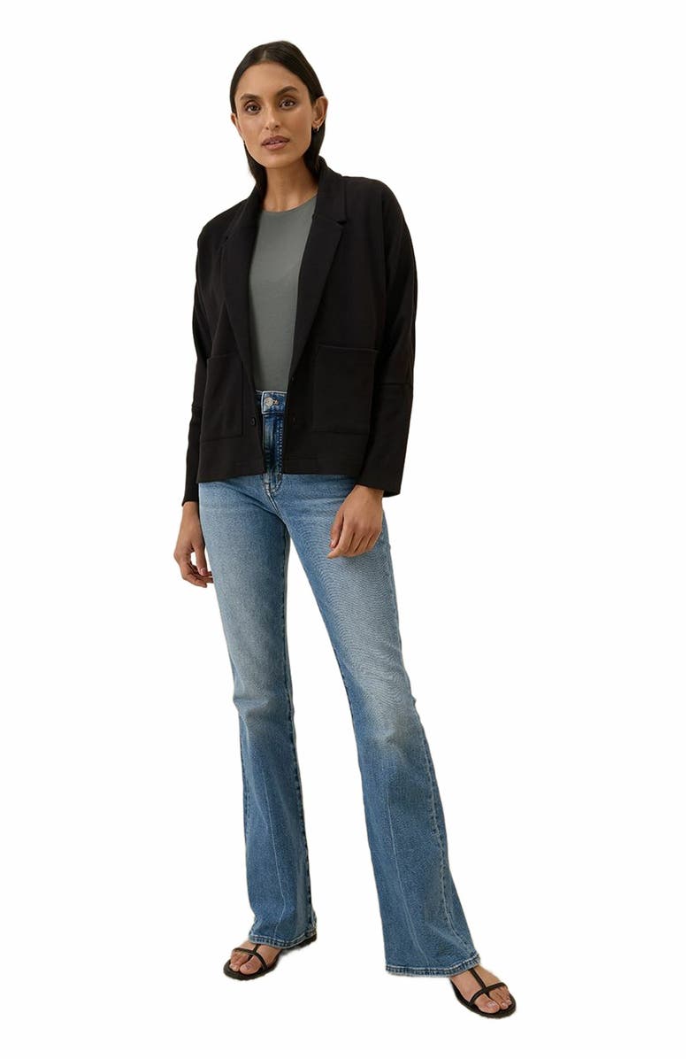 Pact Organic Cotton Airplane Relaxed Blazer, Main, color,