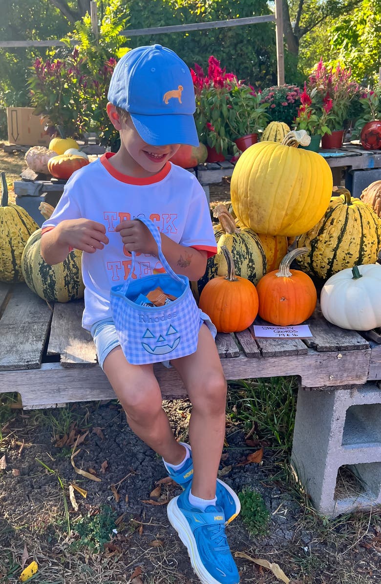 Bits & Bows Retriever Dog Twill Baseball Hat, Alternate, color, Blue